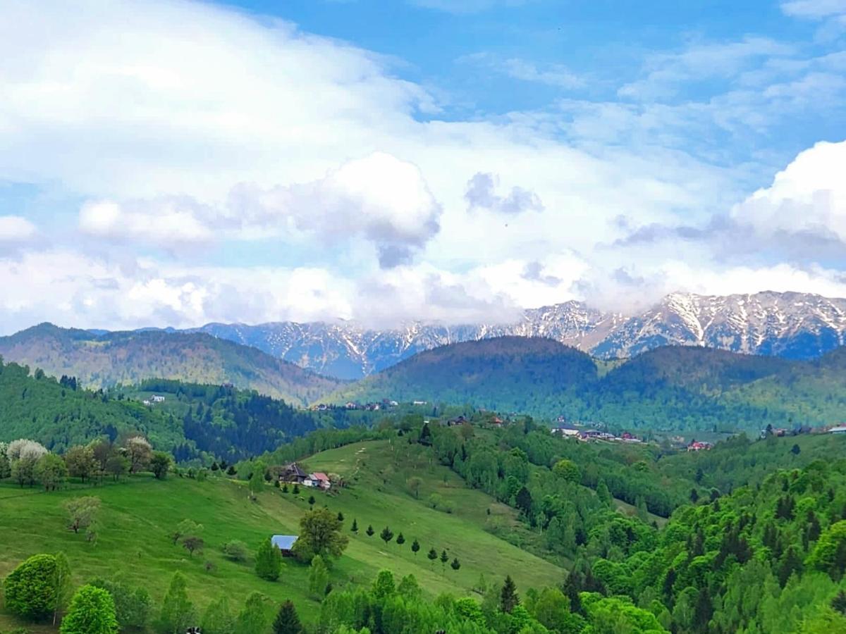 Carpathia Magic -Adults Only Villa Peștera Bagian luar foto