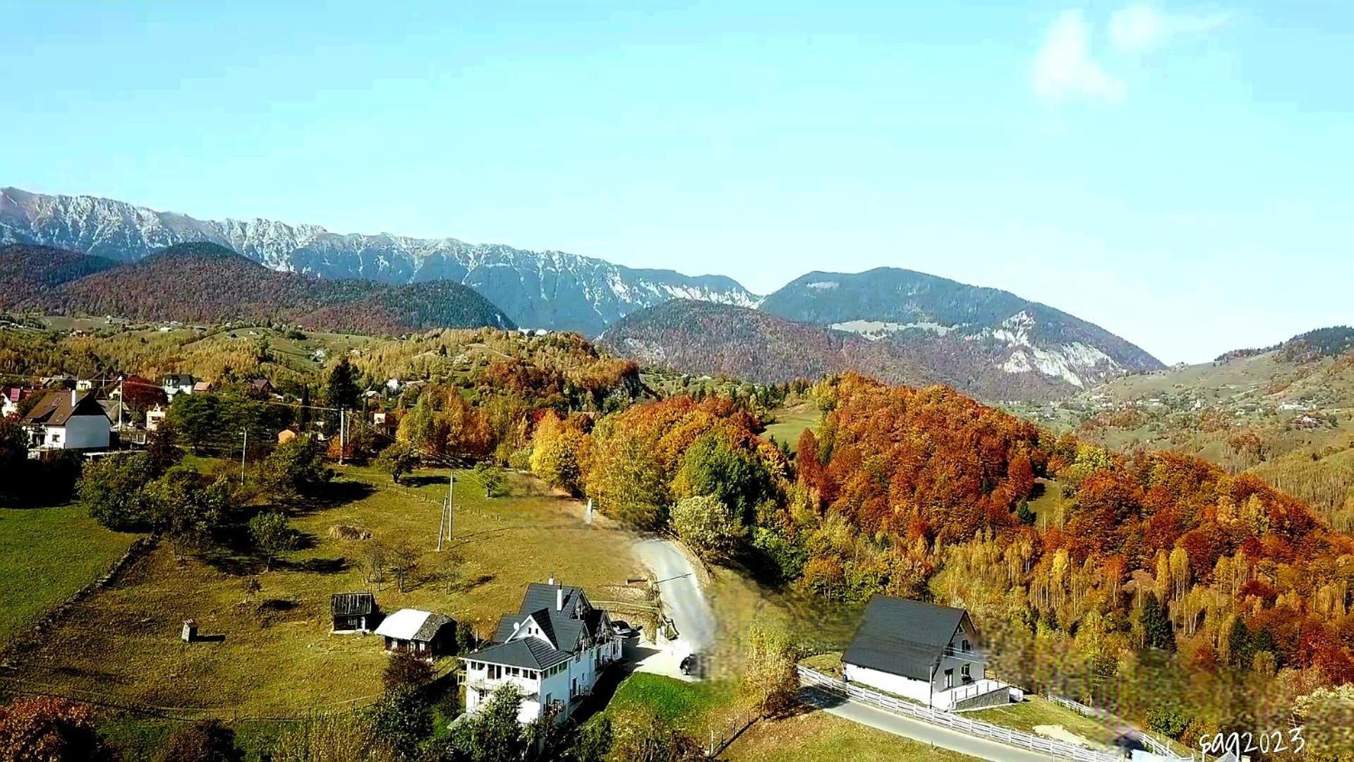 Carpathia Magic -Adults Only Villa Peștera Bagian luar foto