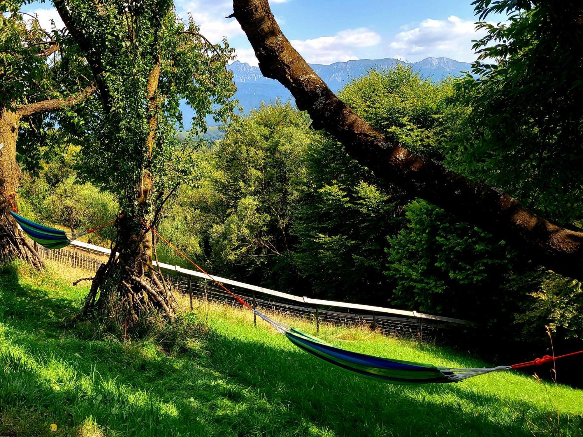 Carpathia Magic -Adults Only Villa Peștera Bagian luar foto